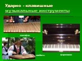 Ударно - клавишные музыкальные инструменты. фортепиано ксилофон цимбалы