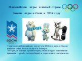 Зимние игры в Сочи в 2014 году. Талисманами Олимпийских игр в Сочи 2014 года жители России выбрали зайца, белого медведя и Леопарда. Это трио, по мнению организаторов, символизирует олимпийские принципы - дружбу, честную борьбу и стремление к совершенству.