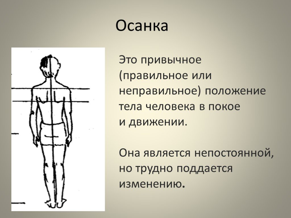 Положение покоя. Осанка. Правильная осанка это положение тела. Положение тела в покое. Осанка это привычное положение.