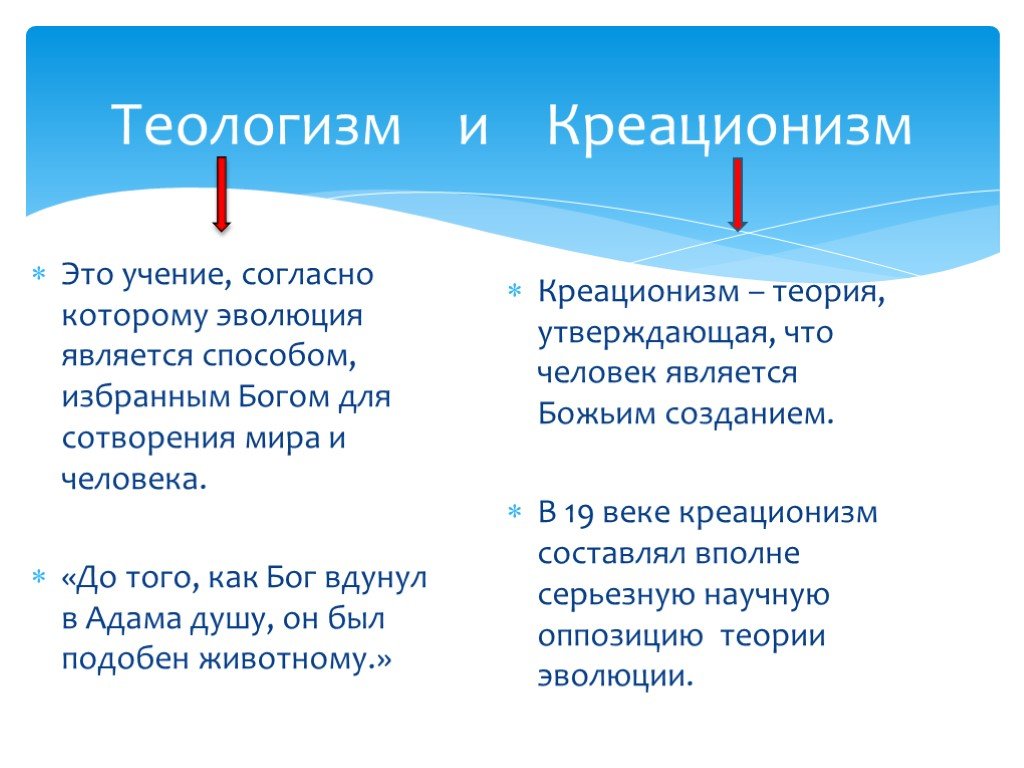 Креацинизм. Теологизм и креационизм. Теологизм в философии это. Креационизм это в философии. Креационизм это в философии определение.