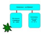 Амидные удобрения. Мочевина CO(NH2)2 N – 46%. Цианамид кальция CaCN2 N – 21 %