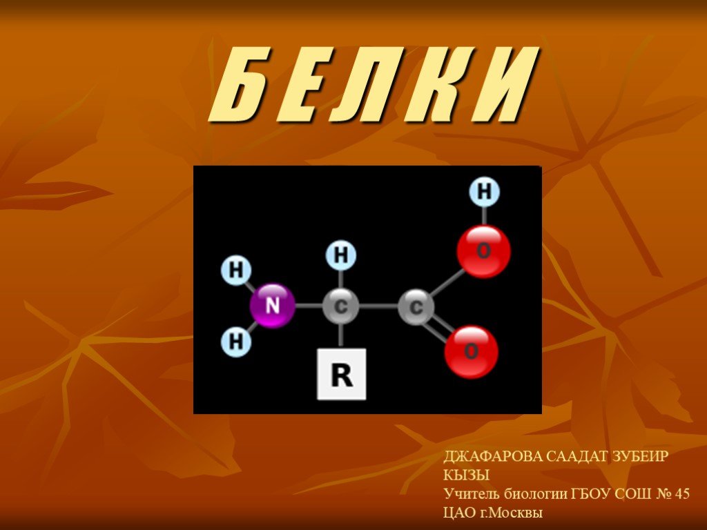 Презентация по белкам
