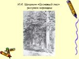 И.И. Шишкин «Сосновый лес» рисунок карандаш