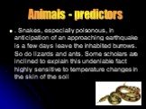 . Snakes, especially poisonous, in anticipation of an approaching earthquake is a few days leave the inhabited burrows. So do lizards and ants. Some scholars are inclined to explain this undeniable fact highly sensitive to temperature changes in the skin of the soil