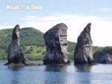 Avacha Bay