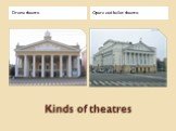 Kinds of theatres Drama theatre Opera and ballet theatre