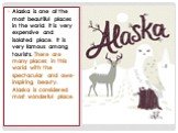 Alaska is one of the most beautiful places in the world. It is very expensive and isolated place. It is very famous among tourists. There are many places in this world with the spectacular and awe-inspiring beauty. Alaska is considered most wonderful place.