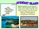 Stewart Island is a very special place. The only town is Oban. It is a heaven for native birds’ life. The kiwi is common over much of the island, particularly around beaches. The weather is changeable on the island. Stewart Island