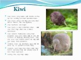 Kiwi. Kiwi have long beaks with nostrils at the tip for sniffing out their favourite foods. Kiwi have wings but they are very small which means kiwi are flightless. Kiwi feathers are rough. Kiwi have a very distinctive smell - some say that they smell like a forest mushroom. Kiwi defend themselves u