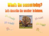 What's the season today? Let's describe the weather in Autumn. It's cloudy. It's rainy It's windy. It's foggy. It's ... .
