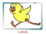 a chick