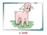 a lamb