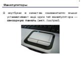 В ноутбуках в качестве «заменителя» мыши устанавливают ещё один тип манипулятора — сенсорную панель (англ. touchpad).