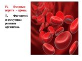 IV.	Входные ворота – кровь. 1.	Фагоцитоз и иммунные реакции организма.