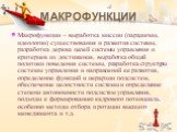 Макрофункции. Макрофункции – выработка миссии (парадигмы, идеологии) сущест­вова­ния и развития системы, разработка дерева целей системы управления и критериев их достижения, выработка общей политики поведения системы, раз­работка структуры системы управления и направлений ее развития, определе­ние 