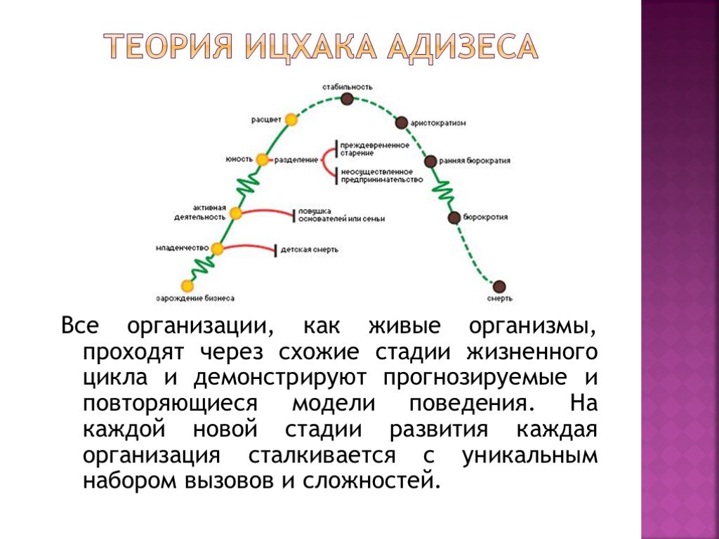 Этапы развития организации. Модель жизненного цикла Ицхака Адизеса.