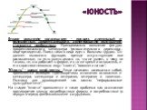 «Юность». Второе рождение организации - процесс длительный и болезненный. Децентрализация, делегирование полномочий становятся необходимы. Принципиально появление фигуры профессионального менеджера (исполнительного директора, вице-президента). Поиск такого лица идет с большим трудом. Он должен выпол