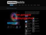 Тип доходов MonkeyLight Pro?