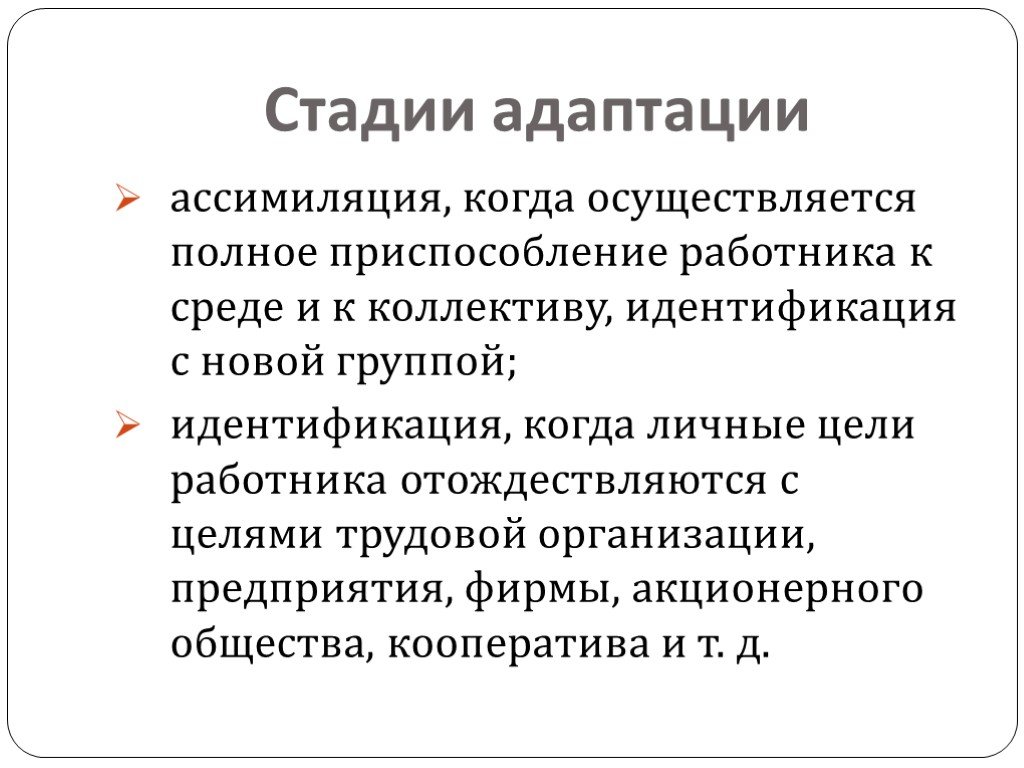 Адаптация 1 2 3 4