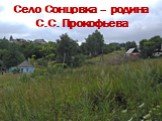 Село Сонцовка – родина С.С. Прокофьева