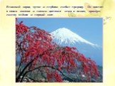Японский народ чутко и глубоко любит природу. Он воспел в своих сказках и поэзии цветение слив и вишен, красную листву клёнов и первый снег.