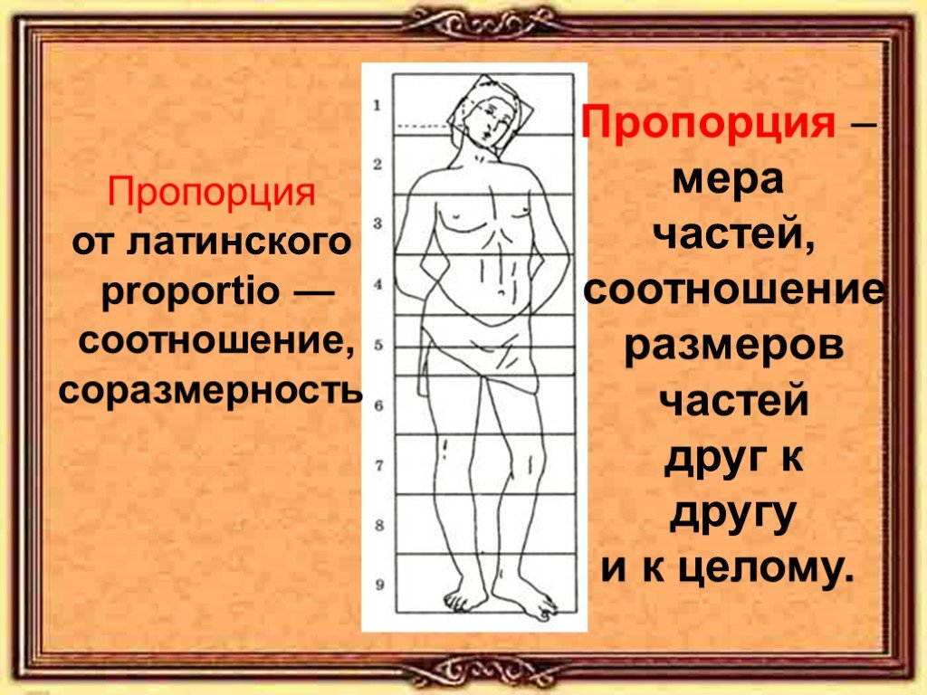 Части пропорции. Пропорции в изобразительном искусстве. Соотношение частей пропорция. Что такое пропорции в изо. Соотношение в изобразительном искусстве.