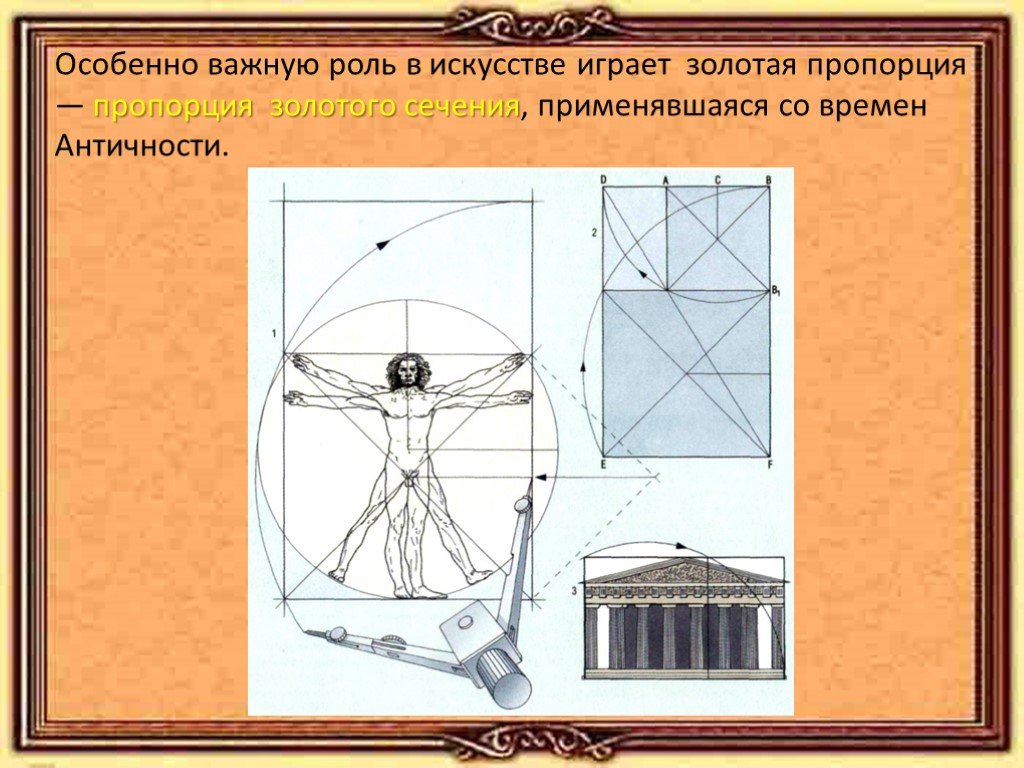 Золотая пропорция презентация