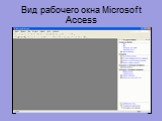 Вид рабочего окна Microsoft Access