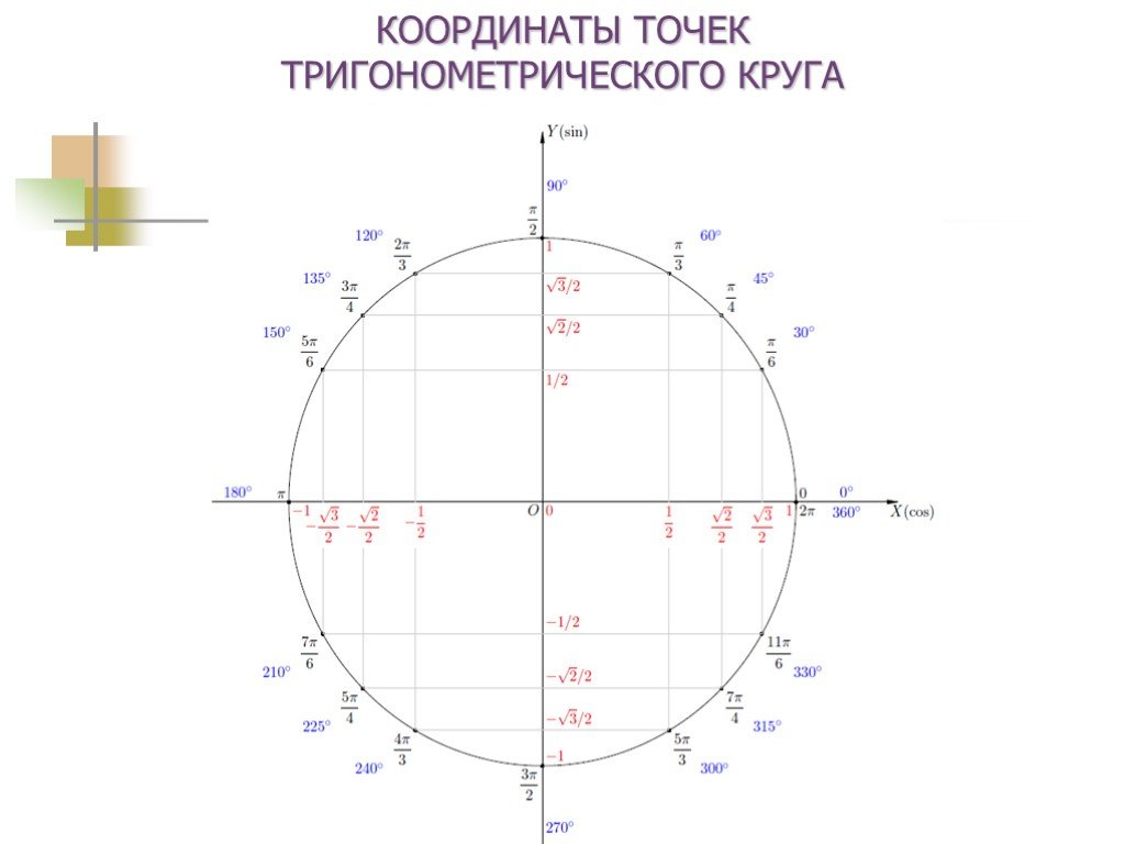 Круг п 12. Тригонометрический круг -2п. Тригонометрический круг единичная окружность. Тригонометрический круг 10 класс. Тригонометрический круг косинус 1/2.