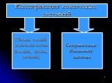 Классификации коматозных состояний. Шкалы стадий развития комы (стадии, фазы, уровни). Скоринговые (балльные) системы