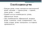 Освобождение ручек. Каждая ручка плода выводится одноименной рукой акушера — правая ручка — правой, левая ручка — левой. Первой всегда освобождается ручка, обращенная кзади. Для освобождения обращенной кпереди ручки туловище плода повора­чивают так, чтобы вторая ручка находилась со стороны промежнос