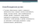 С целью облегчения такого сложного движения плод следует слегка подтолкнуть вверх, внутрь матки. Для освобождения второй ручки туловищу плода вновь придается положение, параллельное паховому сгибу матери, и ручка извлекается за локтевой сгиб перед личиком плода (умывательное движение).