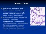 Этиология. Возбудитель сибирской язвы - Basillus anthracis- неподвижная, грамположительная, спорообра-зующая, аэробная палочка, раз-мером 5-8 мкм, без жгутиков. В окрашенных мазках из трупного материала возбудитель обнаруживают в виде крупных грамположительных палочковидных бактерий, с вздутием в це
