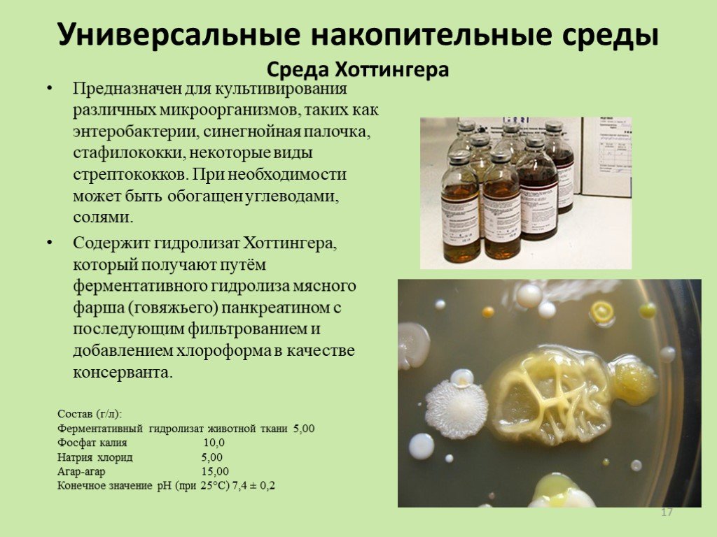 Среда понятно. Среда Хоттингера микробиология. Среда Хоттингера состав. Перевар Хоттингера. Питательная среда бульон Хоттингера.