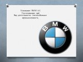 Компания: BMW AG Год основания: 1916 Вид деятельности: Автомобильная промышленность