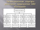 Организационная структура управления предприятия ОАО «Полоцкий»