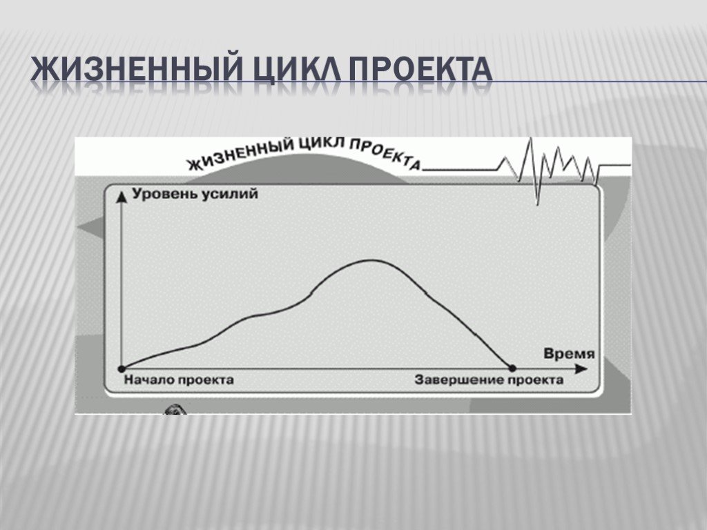 Жизненный цикл проекта тест