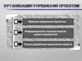 ОРГАНИЗАЦИЯ УПРАВЛЕНИЯ ПРОЕКТОМ