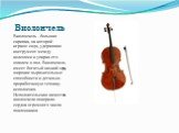 Виолончель. Виолончель - большая скрипка, на которой играют сидя, удерживая инструмент между коленями и упирая его шпилем в пол. Виолончель имеет богатый низкий звук, широкие выразительные способности и детально проработанную технику исполнения. Исполнительские качества виолончели покорили сердца ог