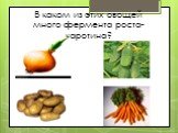 В каком из этих овощей много фермента роста- каротина?