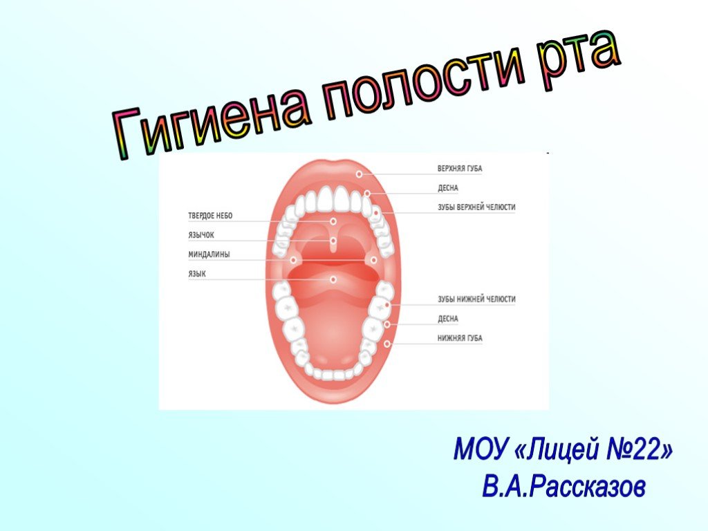 Сообщения полости рта. Гигиена ротовой полости. Гигиена зубов и полости рта. Гигиена ротовой полости 8 класс. Гигиена ротовой полости презентация.