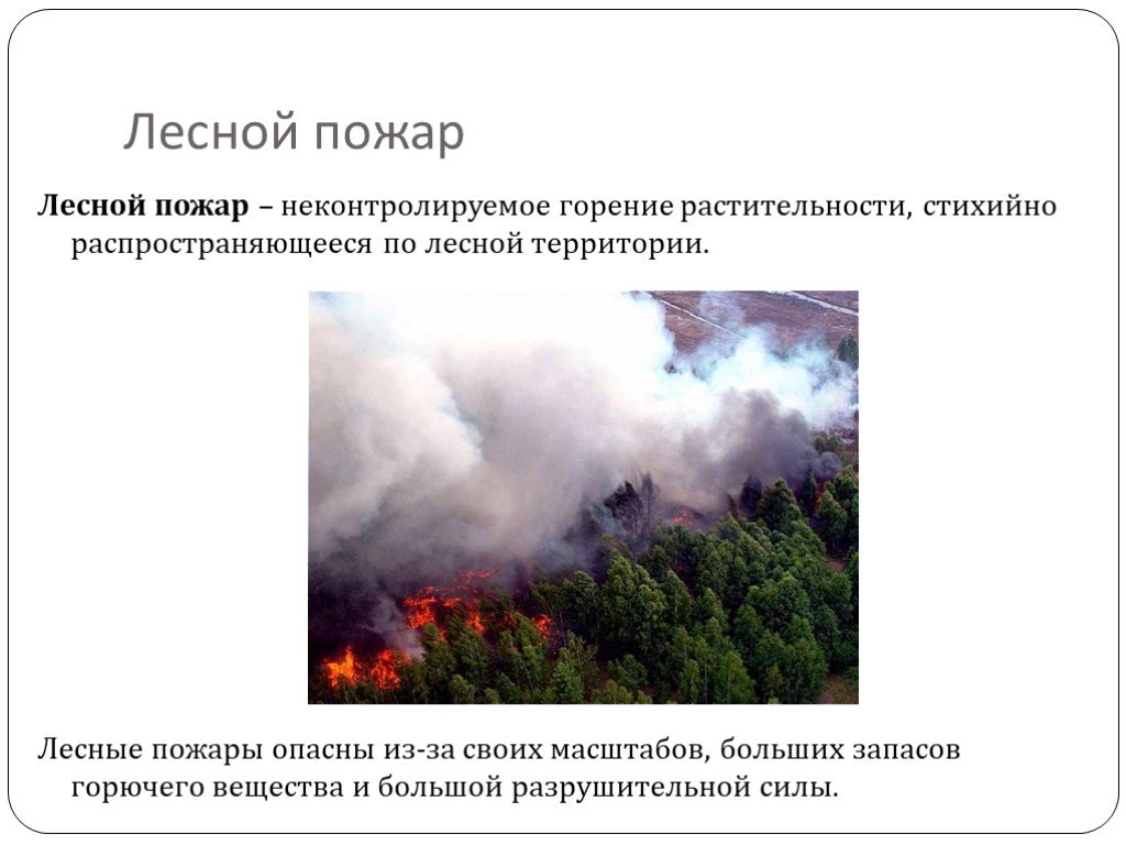 Лесной пожар задачи. Неконтролируемое горение растительности. Лесной пожар это определение. Неконтролируемое горение растительности стихийно. Пожар это неконтролируемое горение.