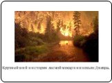 Крупнейший в истории лесной пожар в низовьях Днепра...