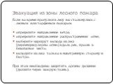 Эвакуация из зоны лесного пожара. Если во время прогулки в лесу вы столкнулись с лесным или торфяным пожаром: определите направление ветра; определите направление распространения огня; выберите маршрут выхода из леса (перпендикулярно огню) вдоль рек, просек в безопасное место; выходите из леса тольк