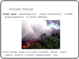 Лесной пожар. Лесной пожар – неконтролируемое горение растительности, стихийно распространяющееся по лесной территории. Лесные пожары опасны из-за своих масштабов, больших запасов горючего вещества и большой разрушительной силы.