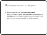 Причины лесных пожаров. В большинстве случаев виновником возникновения лесных пожаров оказывается человек, его небрежность при пользовании в лесу огнём во время работы или отдыха.