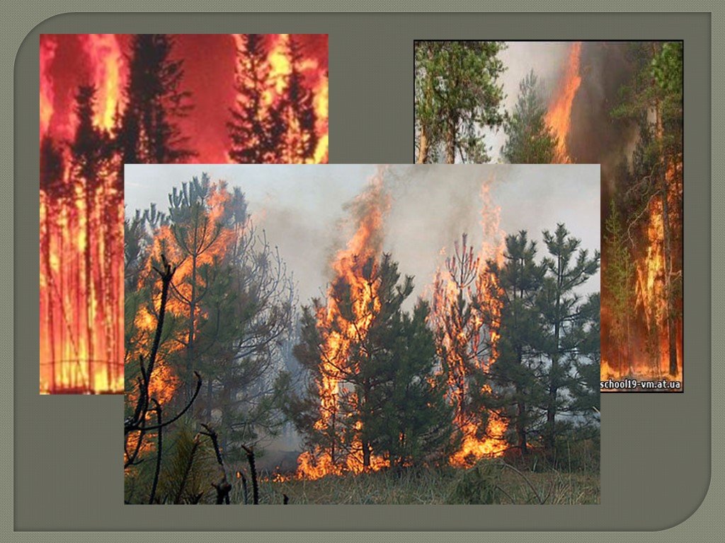 Лесные пожары 2 класс. Пожар на природе. Причины пожара в лесу. Пожар в лесу для детей презентация.