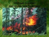 Лесные пожары- экологическое бедствие