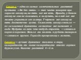 Саксаул — одно из самых замечательных растений пустыни. «Лес без тени» — так часто говорят про заросли саксаула, но тень все же есть. Правда, у белого саксаула она не сплошная, а полутень, но в ней все же можно укрыться от солнца. У черного же саксаула тень достаточно густа. Сплавлять саксаул нельзя