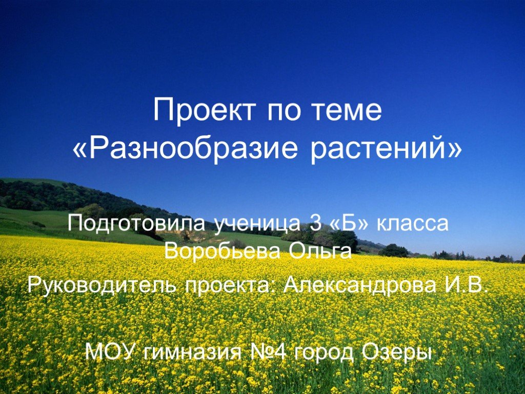 Как сохранить разнообразие растений. Разнообразие растений. Разнообразие растений 3 класс. Проект разнообразие растений 3 класс. Подготовить проект разнообразие растений.